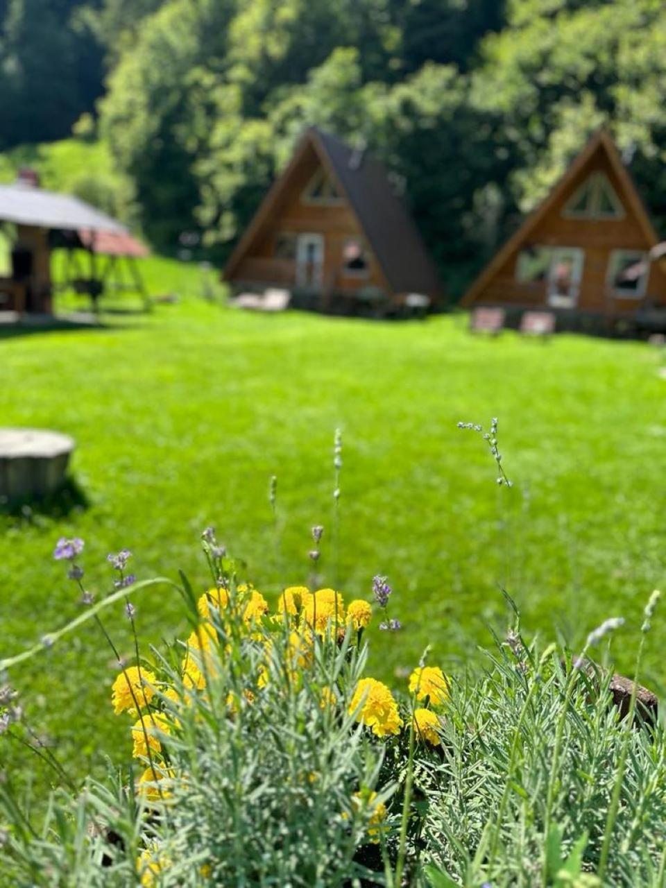 Villa Cabanutze Satic Rucăr Exterior foto